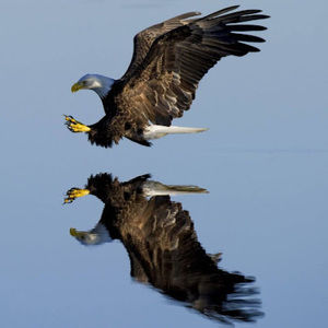 Meet your Posher, Empreder